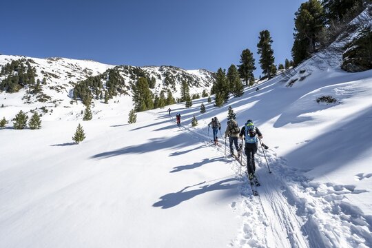 Group of ski tourers on the ascent in Schartlestal, ascent to Kreuzjoch, K&uuml;htai, Stubai Alps, Tyrol, Austria