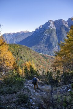 Forest in autumn, Karwendel at the back, near Scharnitz, Bavaria, Germany