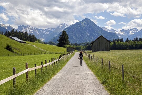 Hiker on Kalkofenweg, back Allg&auml;u Alps, near Oberstdorf, Oberallg&auml;u, Allg&auml;u, Bavaria, Germany