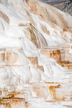 Sinter terraces with calcareous tuff deposits, hot springs, colorful mineral deposits, Palette Springs, Lower Terraces, Mammoth Hot Springs, Yellowstone National Park, Wyoming, USA