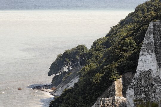 View from the Koenigsstuhl ("King's Throne"), Jasmund National Park, Ruegen, Germany, Europe