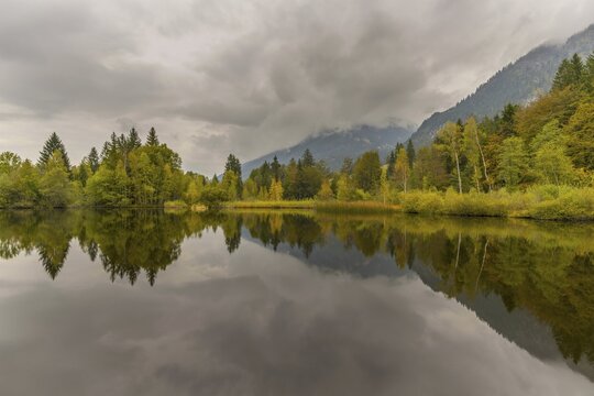 Marsh pond near Oberstdorf, Oberallg&auml;u, Allg&auml;u, Bavaria, Germany