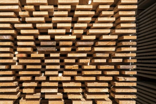 Stacked wooden boards, Oberallg&auml;u, Allg&auml;u, Bavaria, Germany