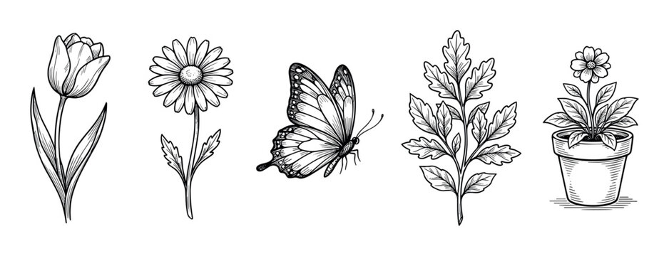Various natural elements line art collection featuring bird nests, feathers, twigs, and woven patterns in a simple, elegant outline style.