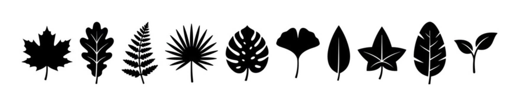 Natural textures and patterns hand drawn doodle illustrations representing a diverse collection of organic elements and surfaces from nature.