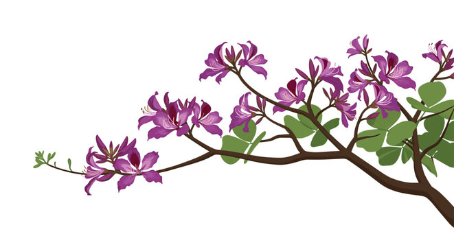 Close-up illustration of a tree branch with vibrant purple orchid-like flowers and green leaves for tropical nature design.
