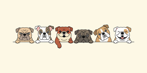 Fototapeta premium Cartoon bulldog heads peeking over a line colorful vector illustration on a beige background