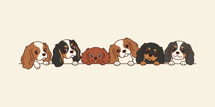 Cartoon cavalier King Charles Spaniels dogs peeking over edge colorful illustration on a beige background