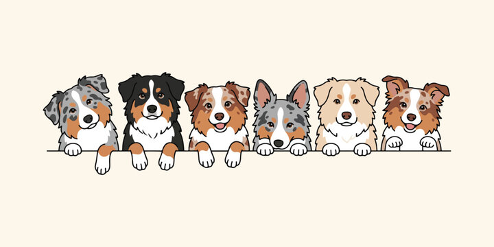 Cartoon australian shepherd dogs peeking over a ledge colorful vector illustration high quality professional