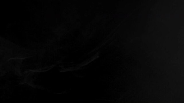 Abstract monochrome animation of subtle dust particles floating on a black background.