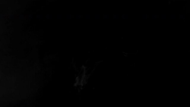 Slow motion of abstract white smoke wisps floating gently on a pure black background.