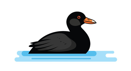 Fototapeta premium Black bird floating on water surface.