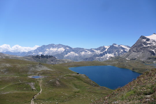 Whispers of the Wild Mountains