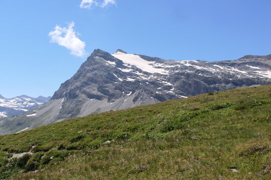 Whispers of the Wild Mountains