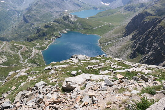 Whispers of the Wild Mountains