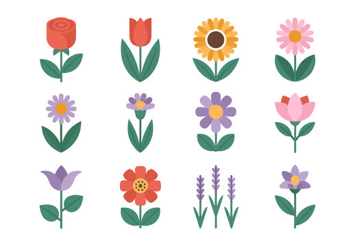 Modern Flat Flower Illustration Set
