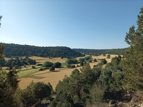 Golden wheat fields in a verdant valley in rural Spain.