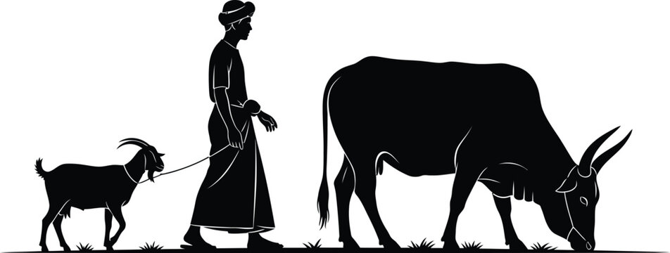 Silhouette of a man herding a cow and goat