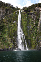 Obraz premium waterfall in the forest