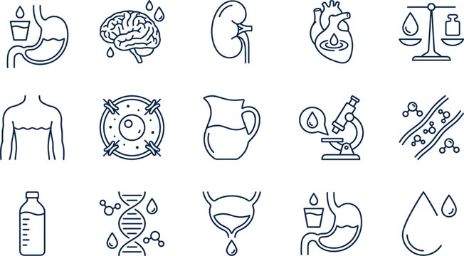 Human Body and Health Icon Set Featuring Hydration, Organs, Cells, and Microscope for Medical and Wellness Designs