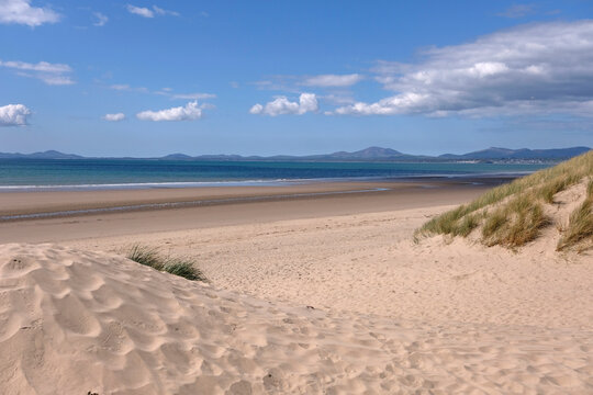 Sand dunes at Harlech beach, Morfa Harlech National Nature Reserve, Eryri National Park, Gwynedd, North Wales, UK.