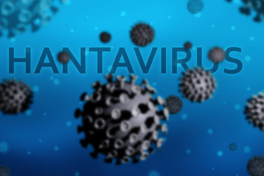 a hantavirus medical background