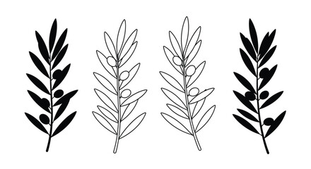 Fototapeta premium Olive branch with fruit linear drawing silhouette