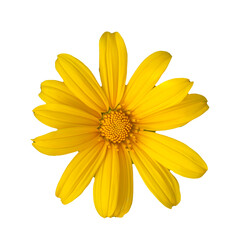 Obraz premium PNG file A vibrant close-up of a sunflower in full bloom, showcasing its bright yellow petals and intricate details. on transparent background PNG
