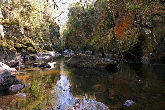 The pretty gorge of Fairy Glen, and the Afron Conwy river, Eryri National Park, formally Snowdonia, North Wales, UK.