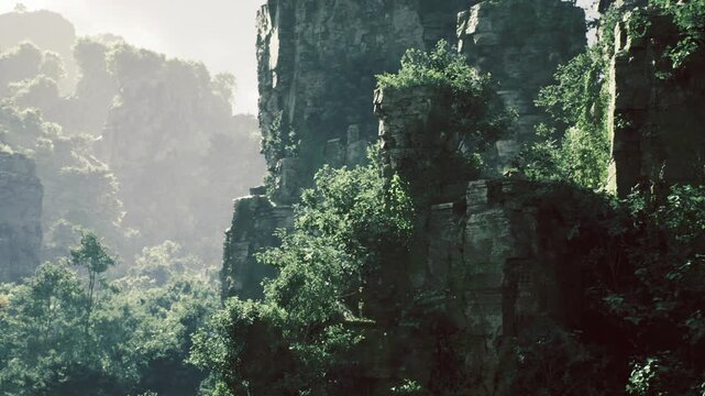 Vegetation cloaked limestone cliffs. Hazy peaks surrounded by dense greenery. Misty limestone cliffs draped in plant life with soft cloudy glow over peaks