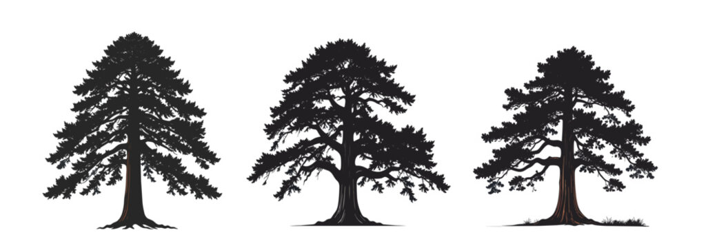 Redwood Tree Silhouette set