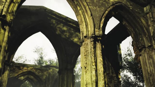 Sunlight filters through the crumbling stone arches of an old structure, blending nature with history. Vines intertwine, showcasing lifes persistence in a forgotten world.