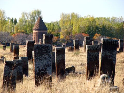 Ahlat Turkey Seljuk cemetery in autumn