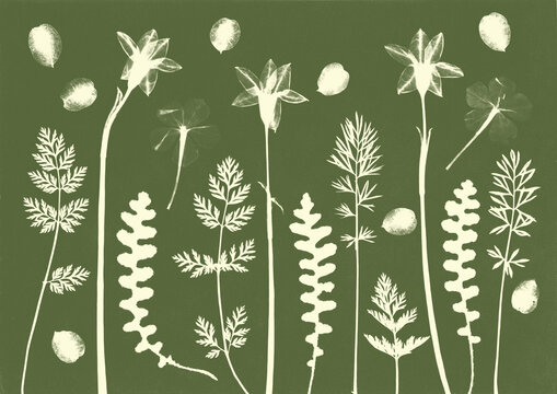 Vintage green cyanotype botanical composition with floral and plant forms on textured paper, herbarium style