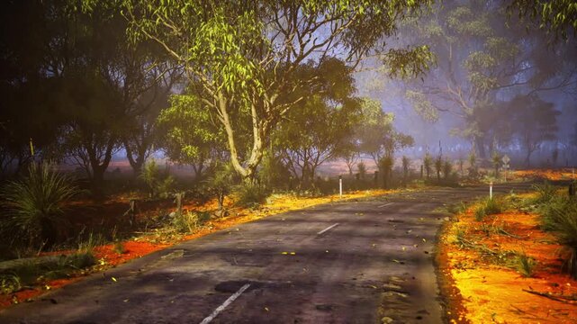 Winding asphalt road through sunlit bushland with vivid contrast, red ochre soil edges, scattered scrub, warm midday haze, ideal for adventure editorial
