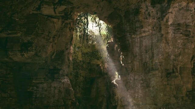 Dramatic shaft of light through cavern opening, trailing vines and roots framing bright aperture, dust particles illuminated, powerful vertical composition
