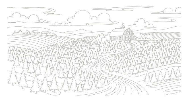 Christmas Tree Farm Landscape Sketch with Barn