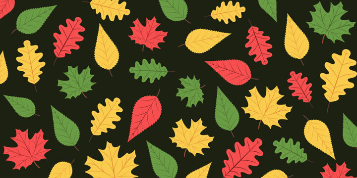 Autumn leaves season pattern. Vector illustration of colorful fall foliage maple, oak, cherry, apple, birch trees. Set of red yellow and green dry leaf elements on dark background horizontal banner