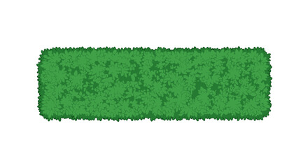 Long rectangular hedge or garden barrier element with detailed leaves isolated on white background for site plans. © Emongrapic