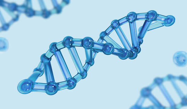 Glass molecular structure of DNA strands