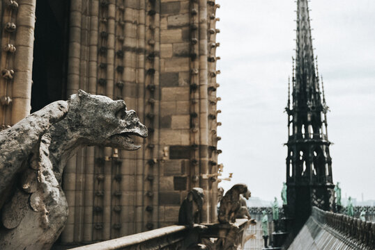 Gargoyle of Notre Dame overlooking Paris