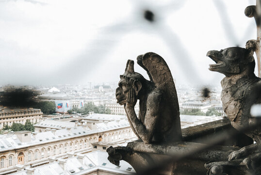 Parisian gargoyles with cityscape background