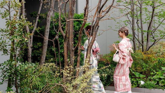Japanese women in kimono walking in Tokyo garden, sakura