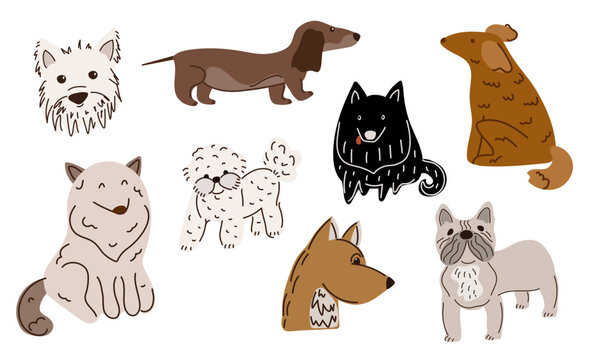 Dog breed set with cute puppies. Dachshund, French Bulldog, Bichon Frise, Terrier. Friendly pet sticker collection for baby nursery decor, kids card design, or animal shelter or pet shop poster