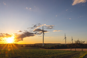 Obraz premium Wind turbines in evening sunlight over fields, symbolizing clean and renewable energy.