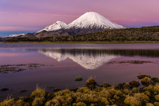 Parinacota Volcano reflected in a high Andes lagoon at dusk