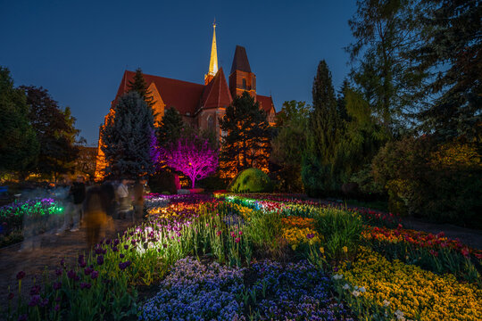 Night view of illuminated flower beds and trees in a botanical garden with a historic cathedral in the background in Wroclaw, Poland.