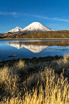 Parinacota Volcano reflected in a tranquil Andean lake
