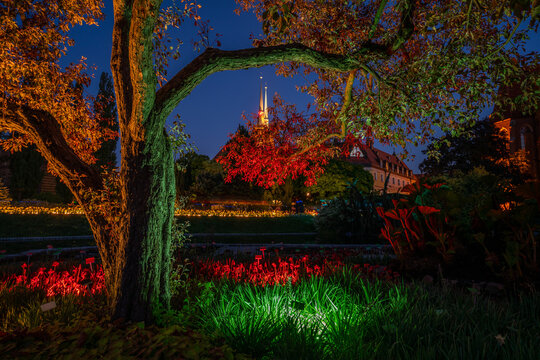 Night view of illuminated flower beds and trees in a botanical garden with a historic cathedral in the background in Wroclaw, Poland.