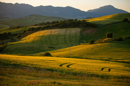 Sunset over rolling grain fields and distant mountains